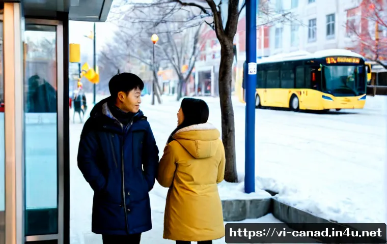 캐나다 교통 시스템과 대중교통 이용법 관련 이미지 1